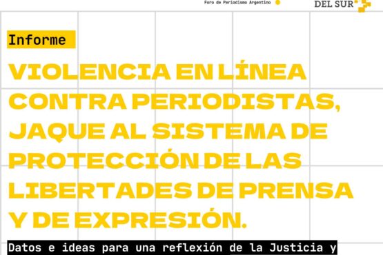 Informe sobre violencia en línea.